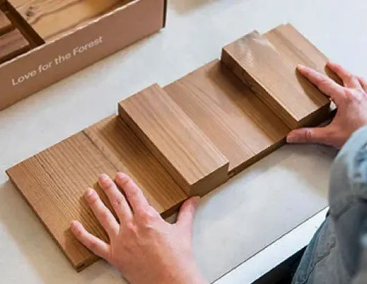 Ce este termolemnul?